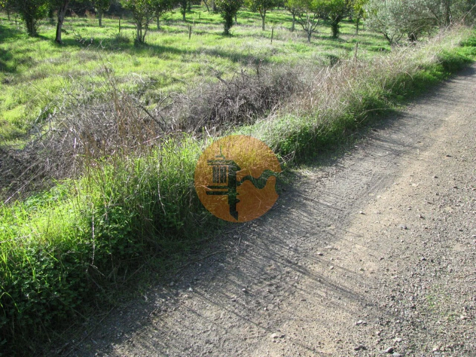 Terreno para Venda em Azinhal Foto 25