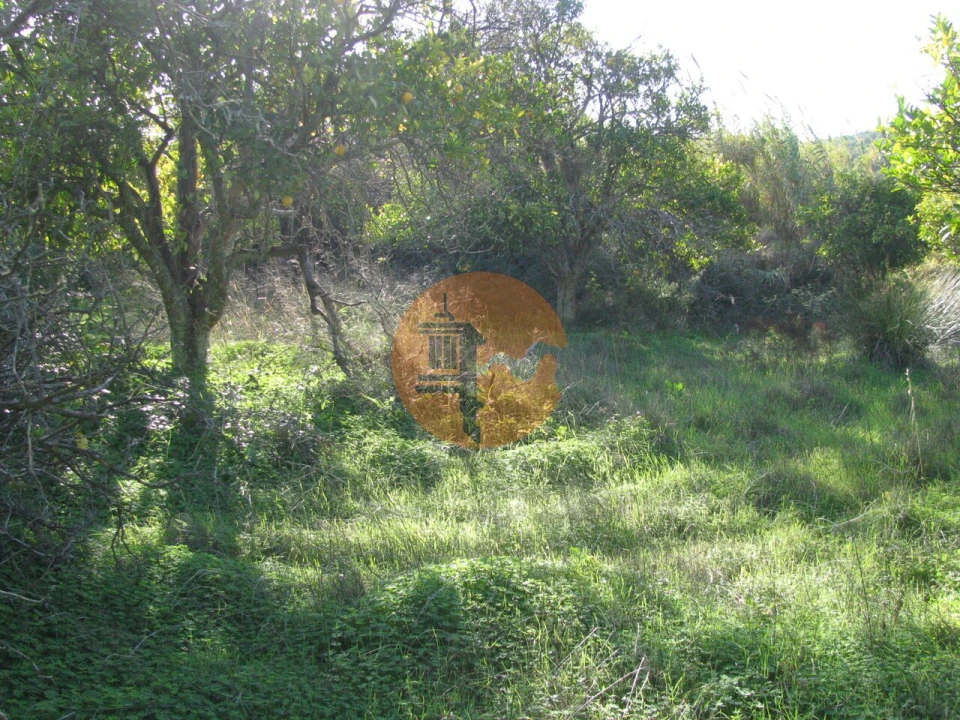 Terreno para Venda em Azinhal Foto 28