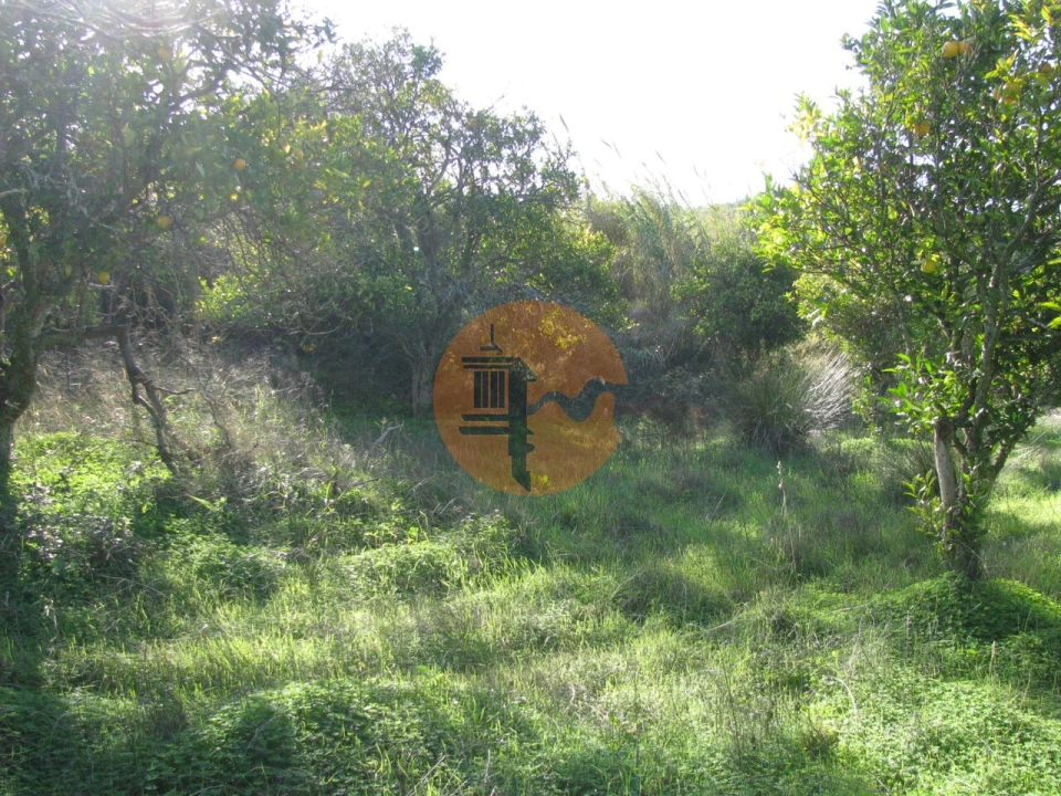 Terreno para Venda em Azinhal Foto 29