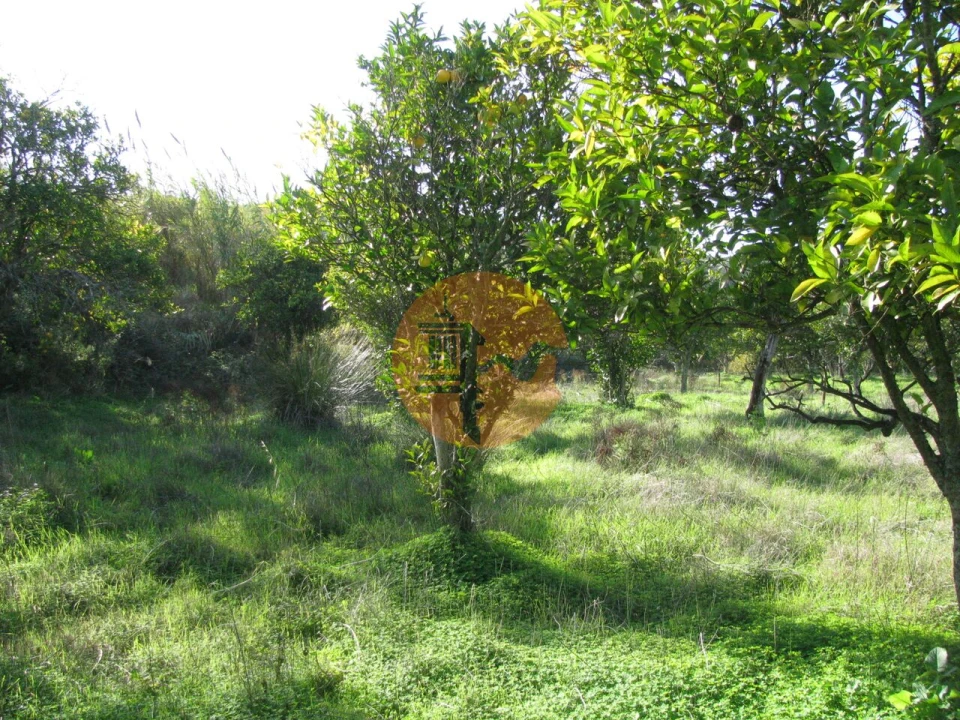 Terreno para Venda em Azinhal Foto 1