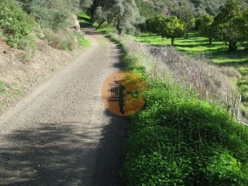 Terreno para Venda em Azinhal