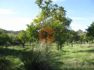 Terreno para Venda em Azinhal