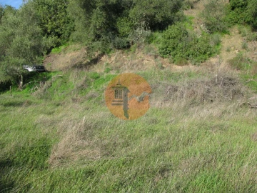 Terreno para Venda em Azinhal