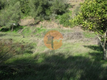 Terreno para Venda em Azinhal