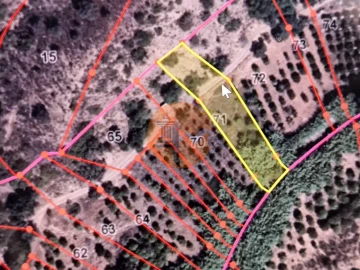 Terreno para Venda em Azinhal