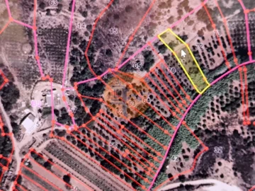 Terreno para Venda em Azinhal