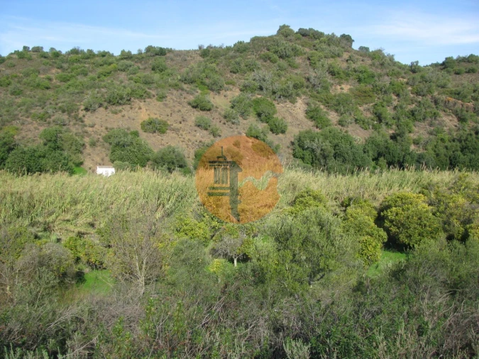 Terreno para Venda em Azinhal Foto 7