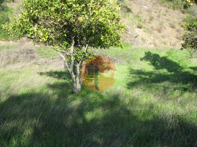 Terreno para Venda em Azinhal Foto 8