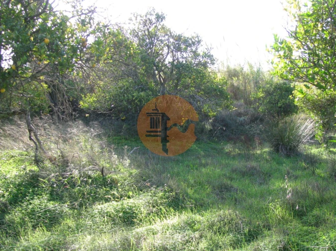 Terreno para Venda em Azinhal Foto 18