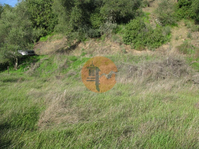 Terreno para Venda em Azinhal Foto 19