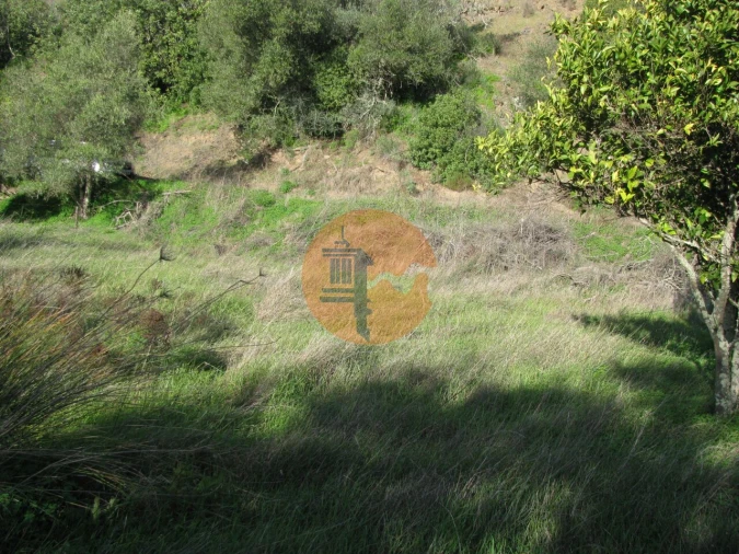 Terreno para Venda em Azinhal Foto 24