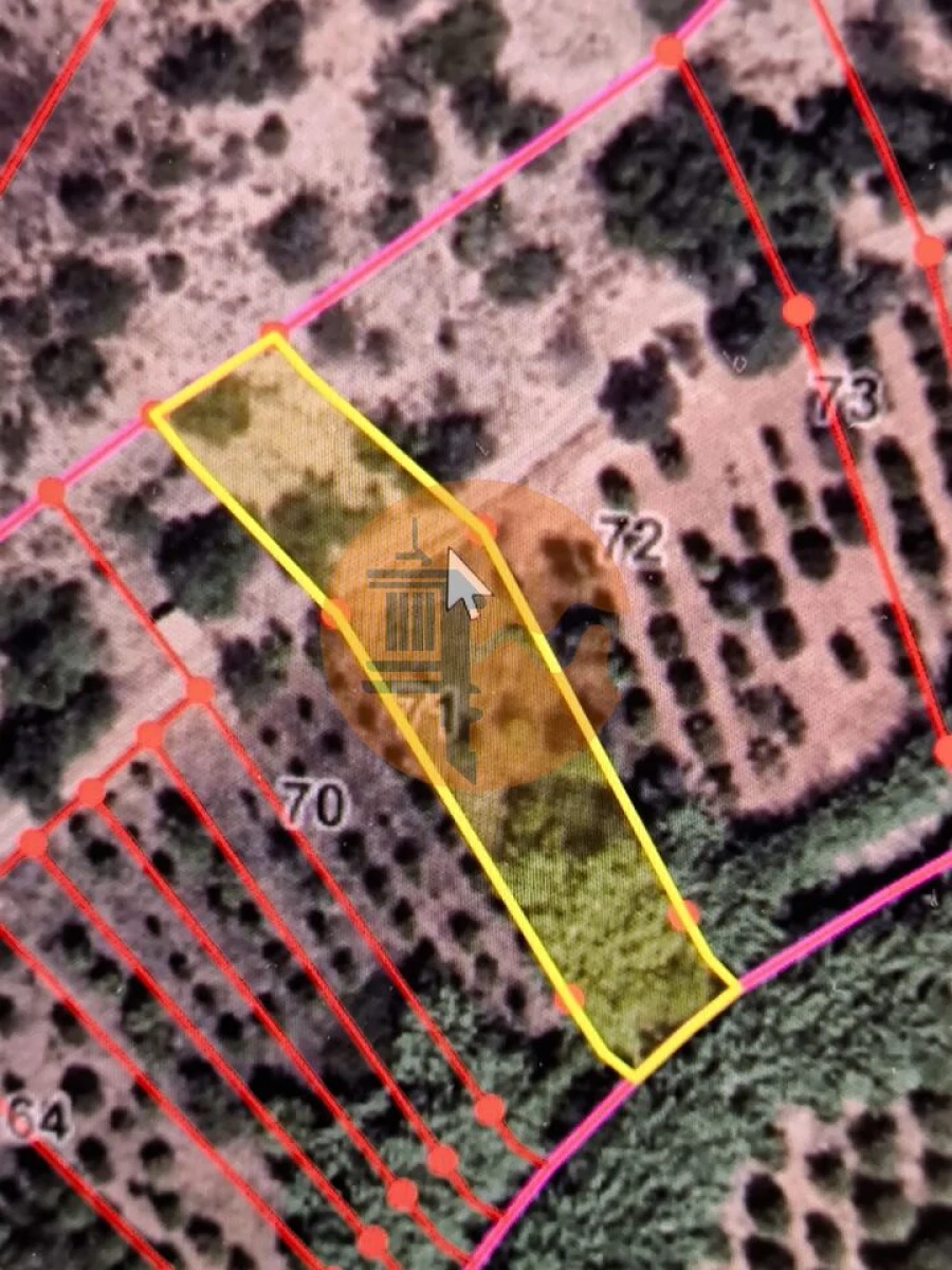 Terreno para Venda em Azinhal Foto 17