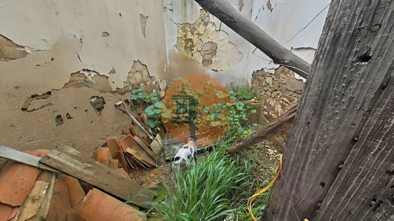 Terreno para Venda em Vaqueiros Foto 34