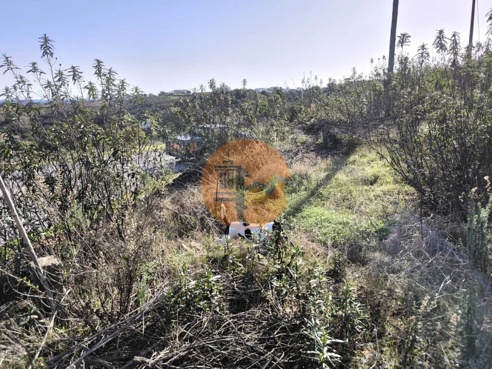 Terreno para Venda em Azinhal Foto 1