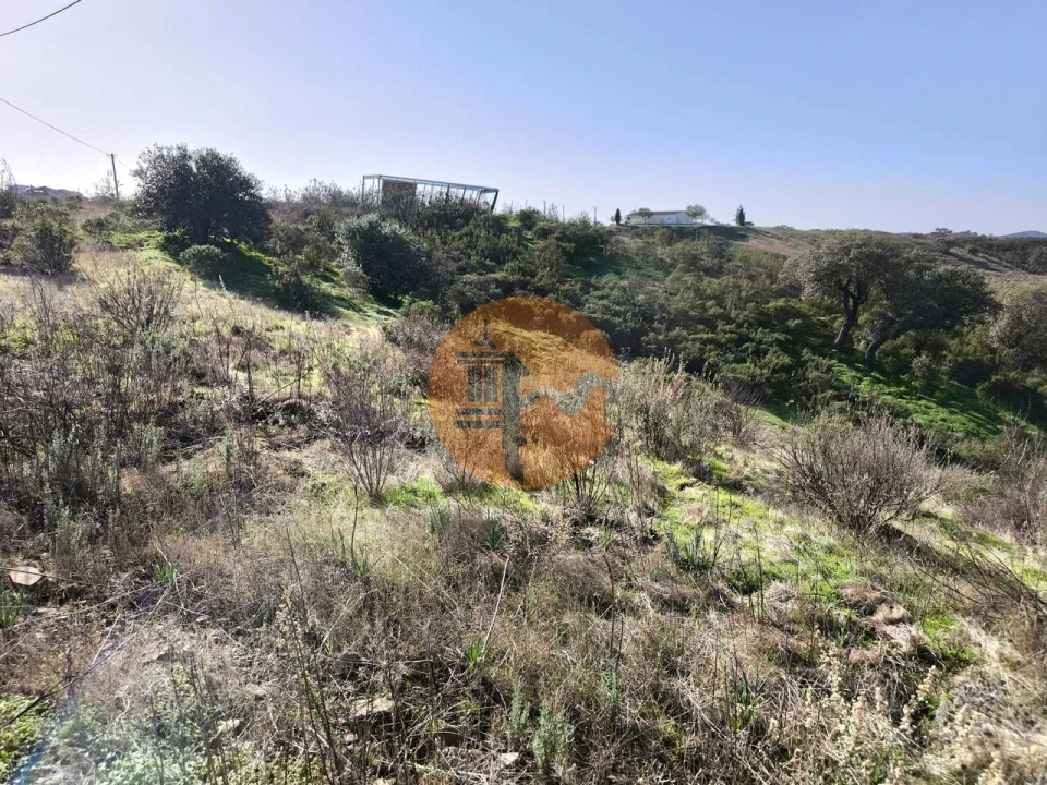 Terreno para Venda em Azinhal Foto 4