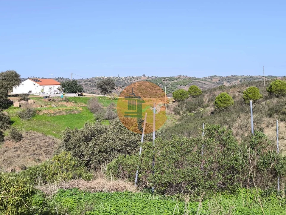 Terreno para Venda em Azinhal Foto 12