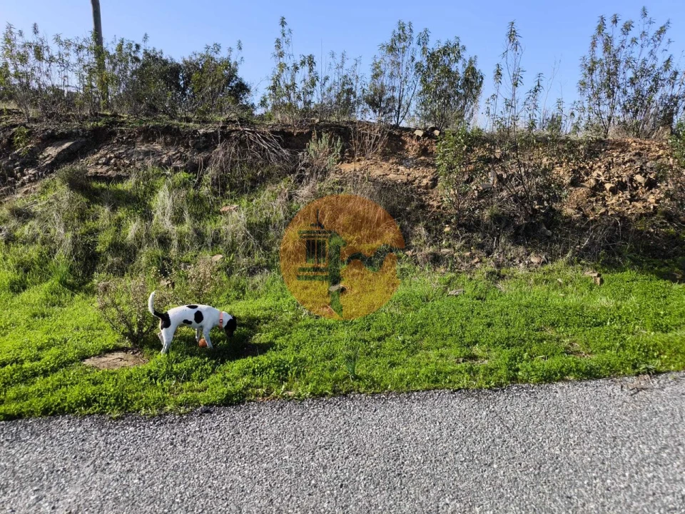 Terreno para Venda em Azinhal Foto 19