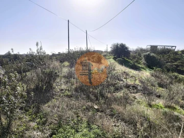 Terreno para Venda em Azinhal