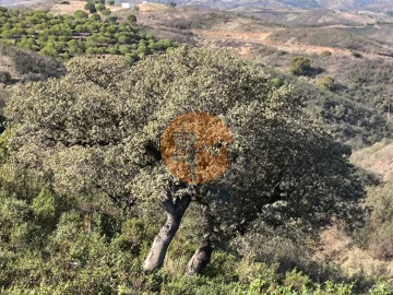 Terreno para Venda em Azinhal