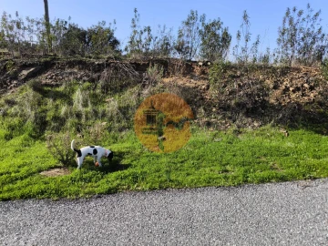 Terreno para Venda em Azinhal