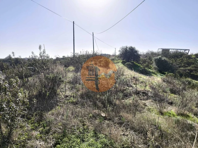 Terreno para Venda em Azinhal Foto 5
