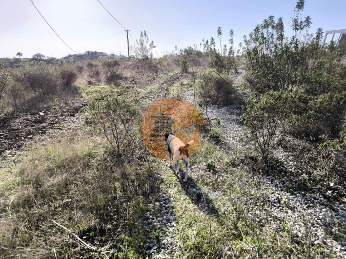 Terreno para Venda em Azinhal Foto 8