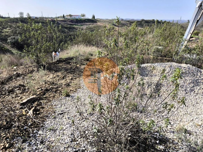 Terreno para Venda em Azinhal Foto 10