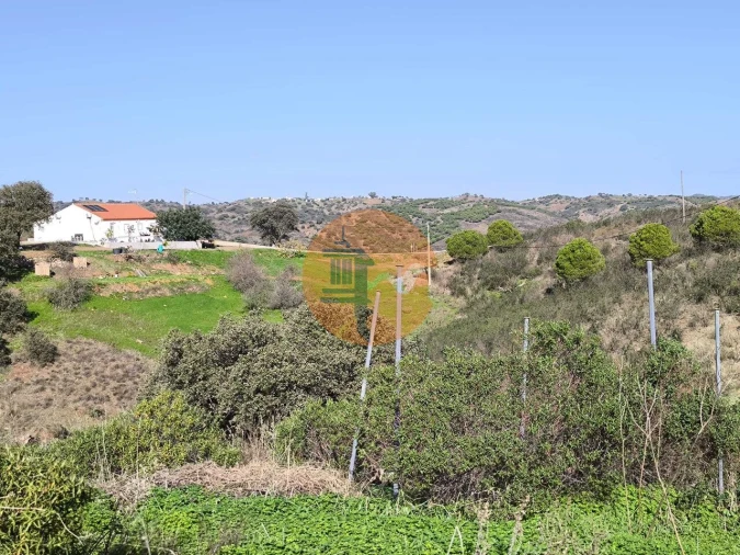 Terreno para Venda em Azinhal Foto 12