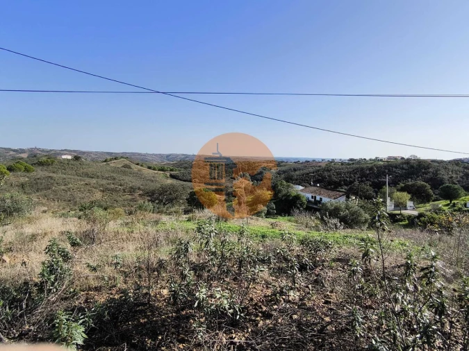 Terreno para Venda em Azinhal Foto 14