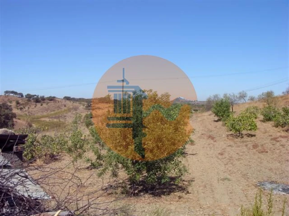 Terreno para Venda em Azinhal Foto 3