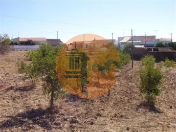 Terreno para Venda em Azinhal