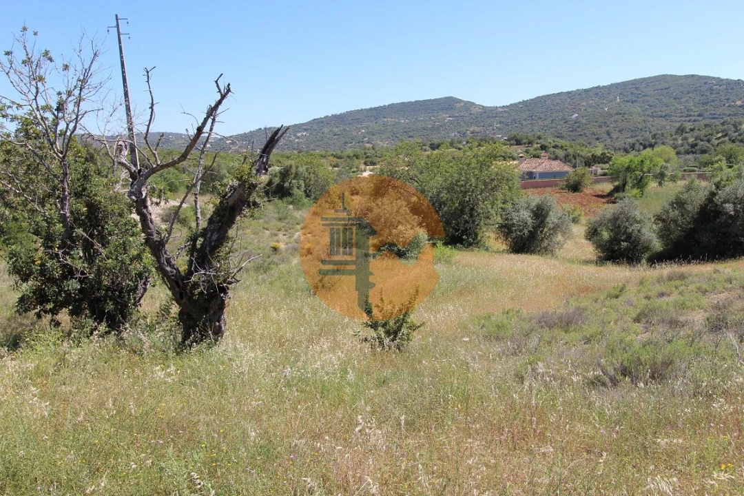 Terreno para Venda em São Brás de Alportel Foto 12