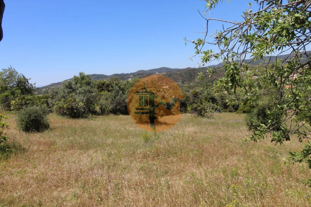 Terreno para Venda em São Brás de Alportel Foto 13