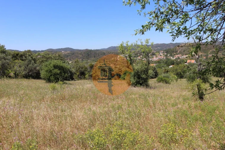 Terreno para Venda em São Brás de Alportel Foto 6