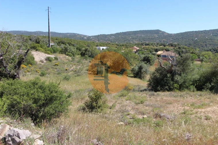 Terreno para Venda em São Brás de Alportel Foto 9
