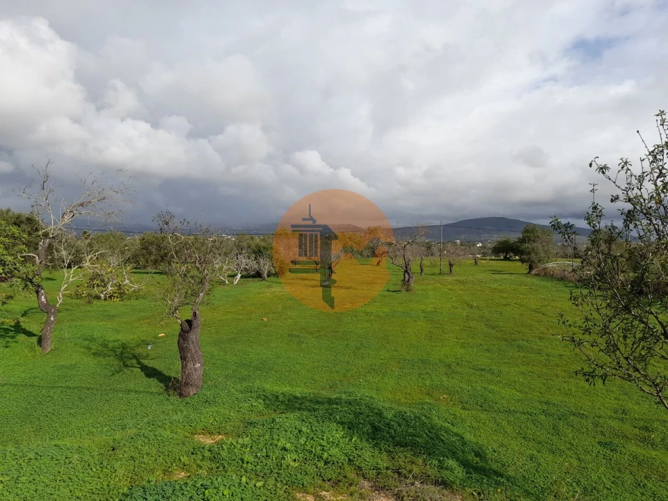 Terreno para Venda em Pechão Foto 1