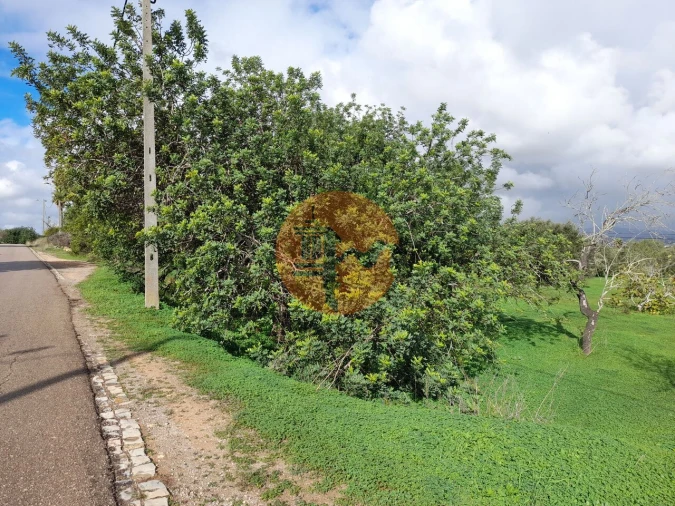 Terreno para Venda em Pechão Foto 2