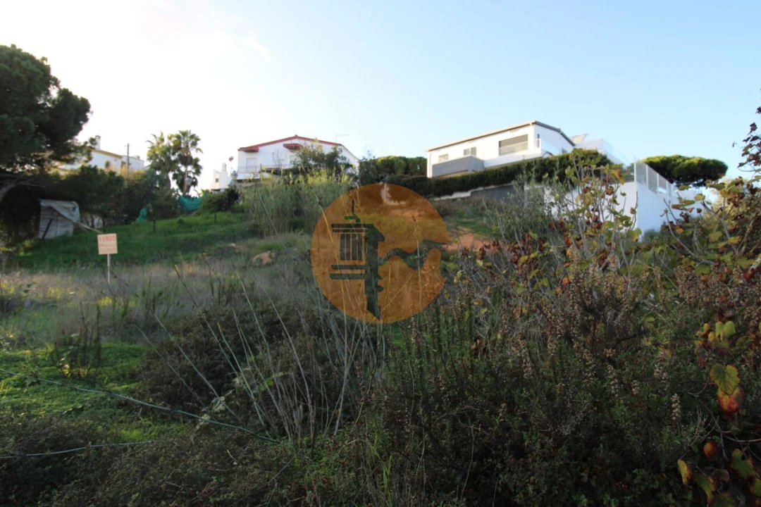 Terreno para Venda em Montenegro Foto 6