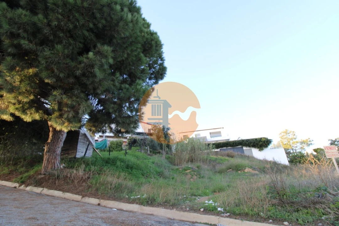 Terreno para Venda em Montenegro Foto 15