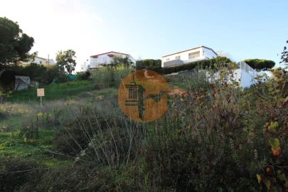 Terreno para Venda em Montenegro