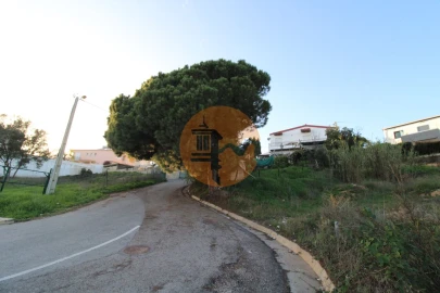 Terreno para Venda em Montenegro