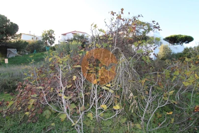 Terreno para Venda em Montenegro