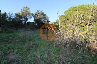 Terreno para Venda em Montenegro