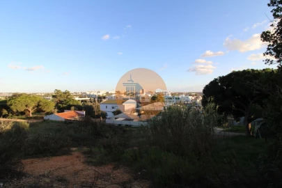 Terreno para Venda em Montenegro