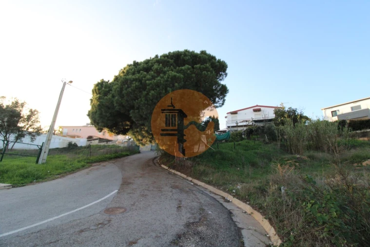 Terreno para Venda em Montenegro Foto 16