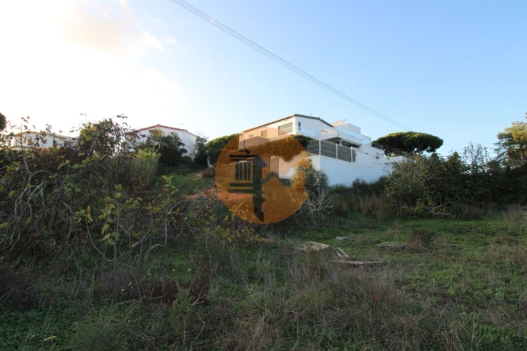 Terreno para Venda em Montenegro Foto 9