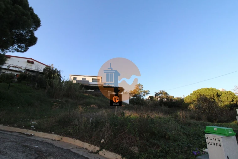 Terreno para Venda em Montenegro Foto 18