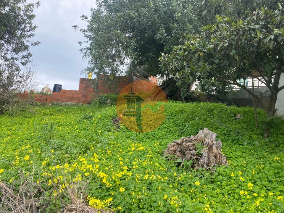 Terreno para Venda em São Brás de Alportel Foto 3