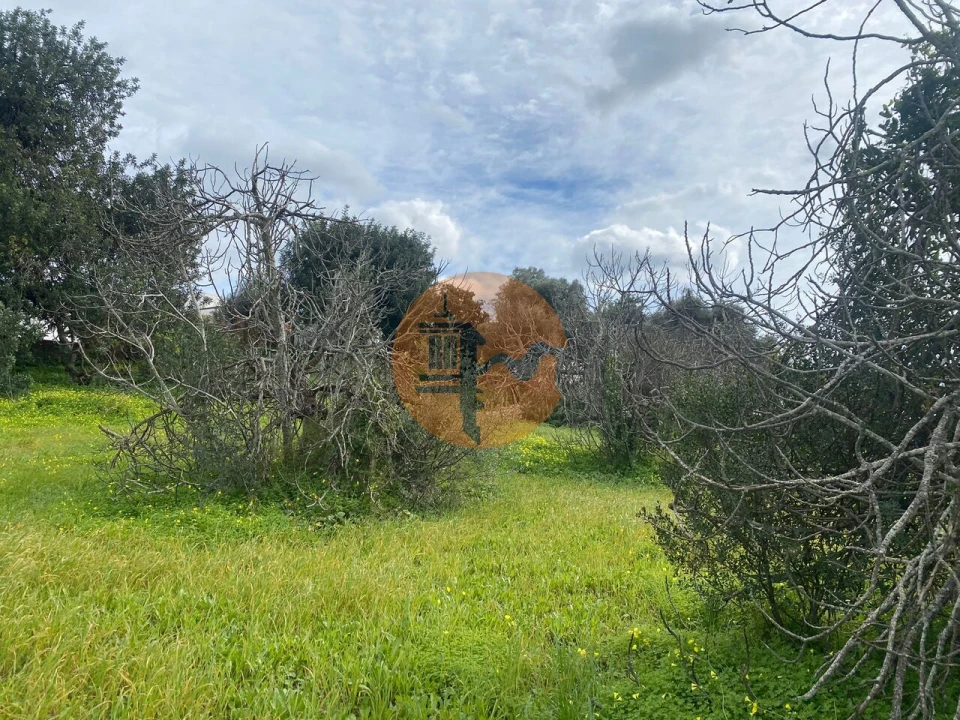 Terreno para Venda em São Brás de Alportel Foto 5
