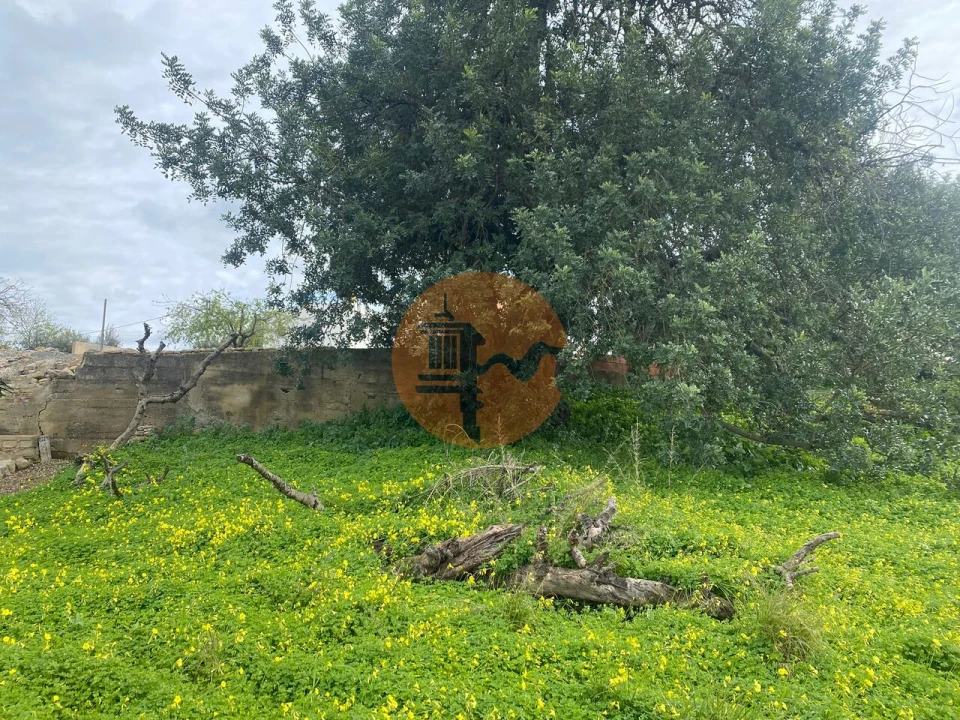 Terreno para Venda em São Brás de Alportel Foto 9